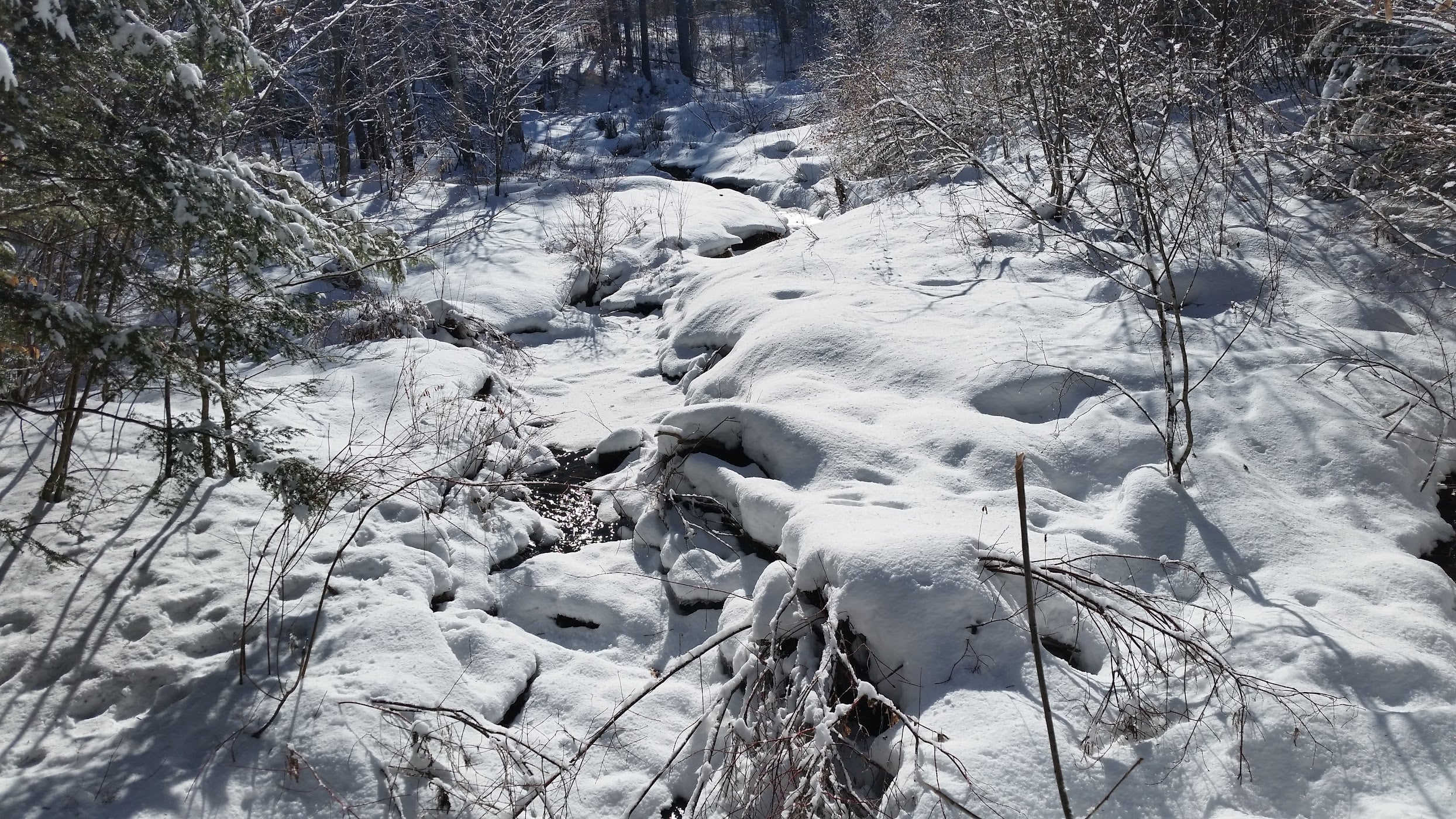 Lyme, New Hampshire