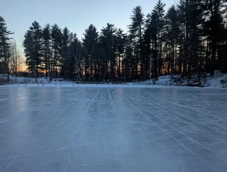 Screenshot 2026 01 21 195502 768x582