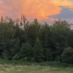 Profile photo of Dervish